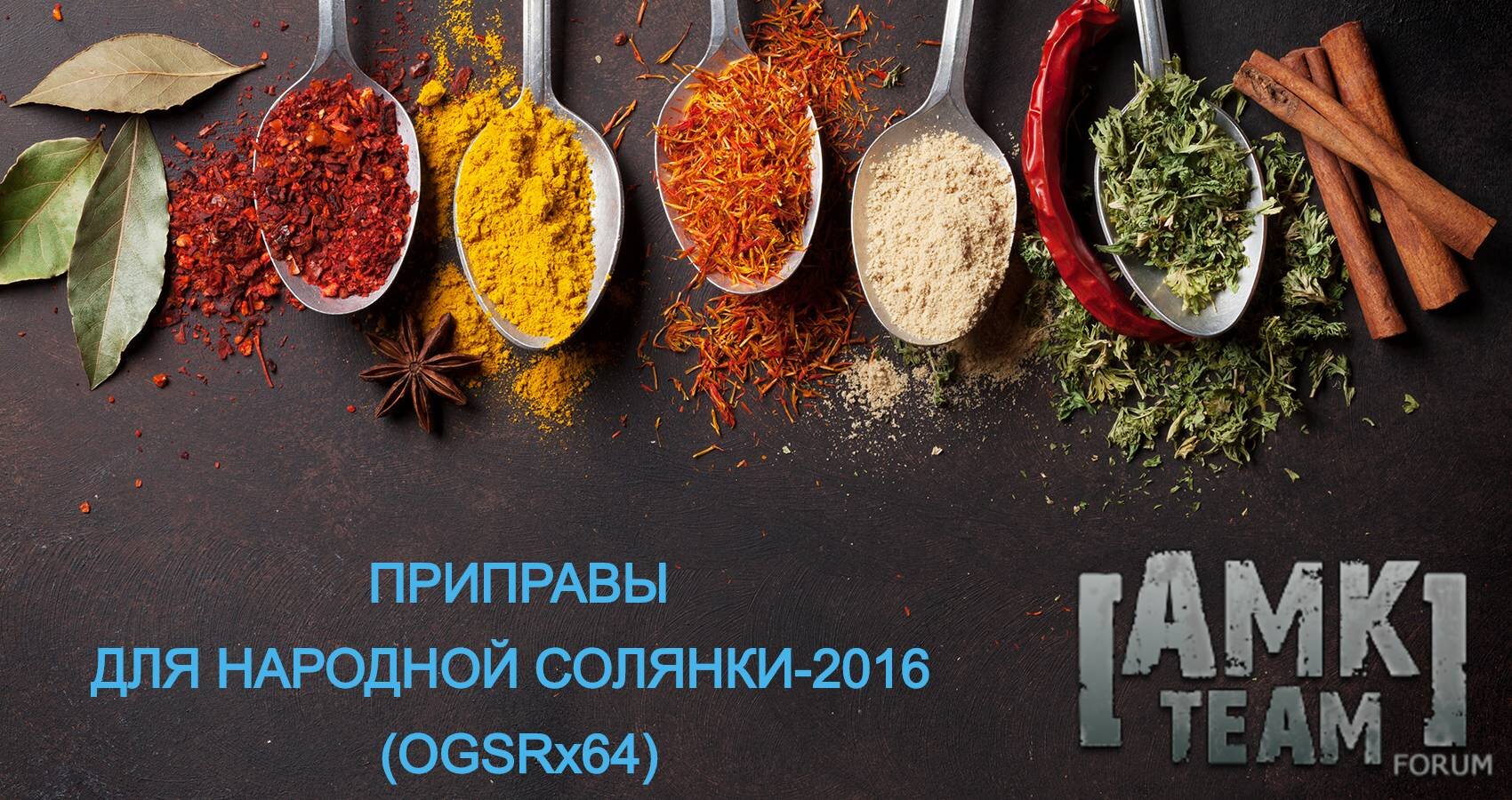 Народная солянка 2016 где флешка стрелка