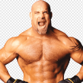 BillGoldberg