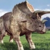 Triceratops